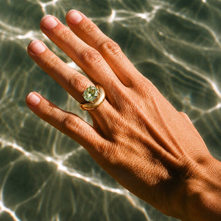 The MaREa Collection