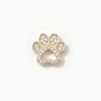 Diamond Paw