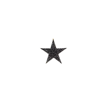 Black Diamond Star Charm