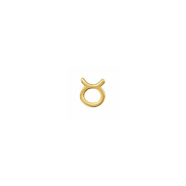 Taurus Charm