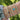 Gemstone Mixed Shape Statement Tennis Bracelet